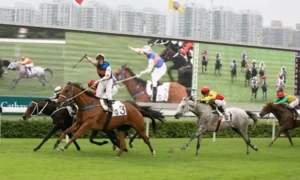 Bí Kíp Cá Cược Đua Ngựa GD365 Đỉnh Cao Giúp Bạn Thắng Lớn Mỗi Ngày