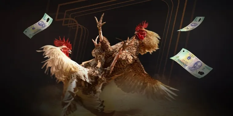 Kê Thủ Săn Thưởng Đá Gà GD365 Rinh Ngay Tiền Tỷ Về Túi